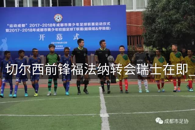 切尔西前锋福法纳转会瑞士在即 总价最高350万欧元